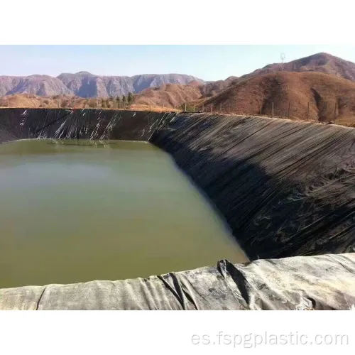 Geomembrana tejida para la acuicultura fábrica.